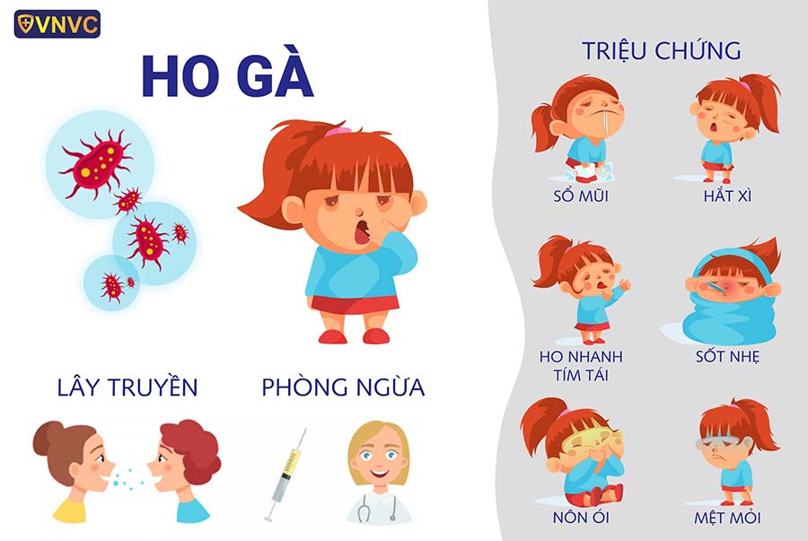 trieu-chung-benh-ho-ga.jpg